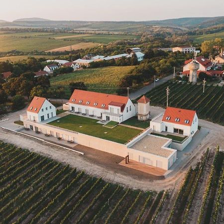 Apartmany Muslovske Vinohrady Mikulov Kültér fotó